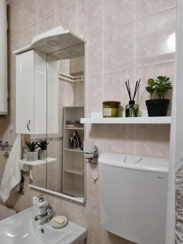 ein Badezimmer mit einem Waschbecken, einem Spiegel und einem WC in der Unterkunft Apartman Centar in Kraljevo