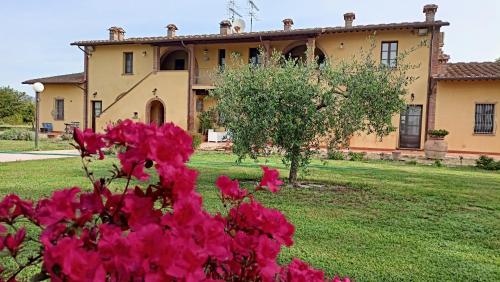 a house with pink flowers in front of it at il Chiassetto Agriturismo No Kids in Cascina