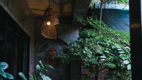a room with a bunch of plants and a light at Nam An Mama Villa Hoi An in Hoi An