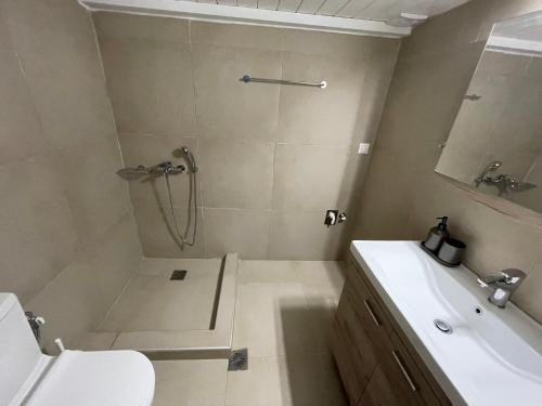a bathroom with a shower and a toilet and a sink at Black Pebble Myconian House in Ano Mera