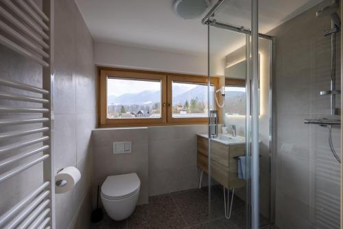 a bathroom with a toilet and a sink and a window at Apartments Brina in Bohinj