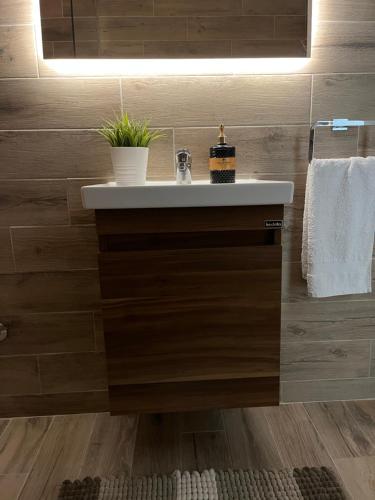 a bathroom with a white sink and wooden walls at Apartmani Tesla in Soko Banja