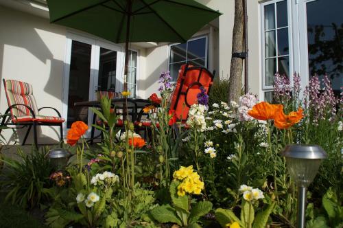 a garden with colorful flowers and an umbrella at Olive House Bed and Breakfast in Christchurch