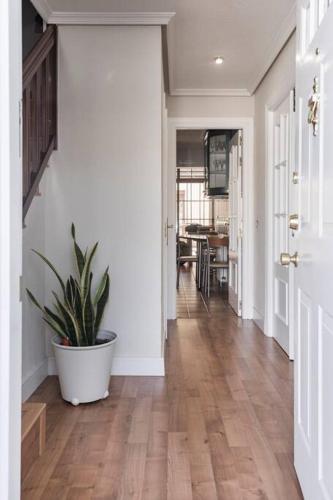 a hallway with a potted plant and a dining room at Unifamiliar Europa in Ciudad Real