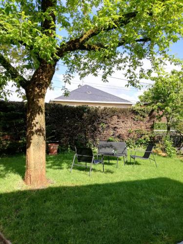 two chairs and a table under a tree at studio avec jardin à Rodez in Rodez