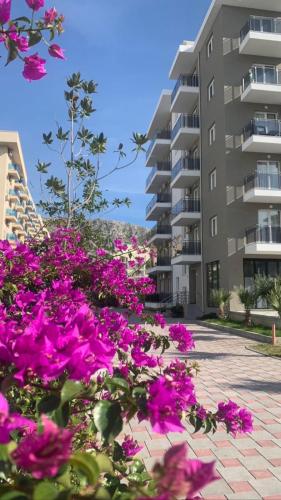 Fotografie z fotogalerie ubytování Hotel LEODORI 3 suites v destinaci Shëngjin