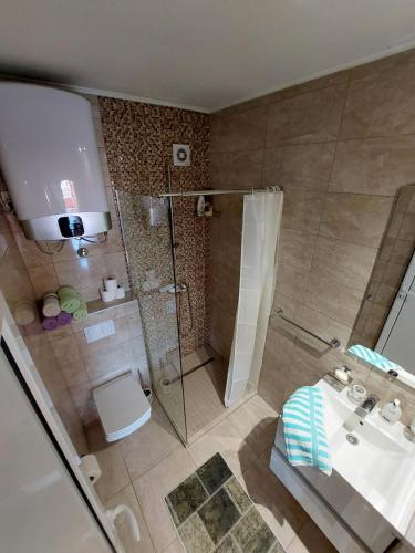 a bathroom with a shower and a toilet and a sink at Apartment Andric 2 in Trebinje