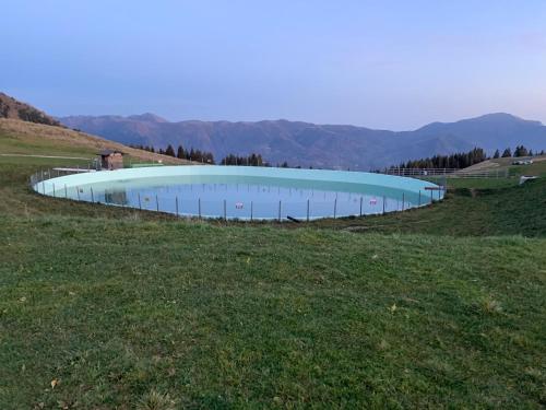 Malga Alta的住宿－BELLISSIMO BILOCALE RESIDENCE SKY PARADISE MT.1400 MONTE PORA，草地上的大型游泳池