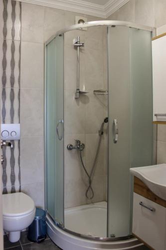 a bathroom with a shower with a toilet and a sink at Sawsana Villalari in Sapanca
