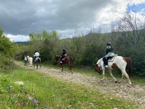 Επισκέπτες που μένουν στο Green House Oasi Fiume Alento