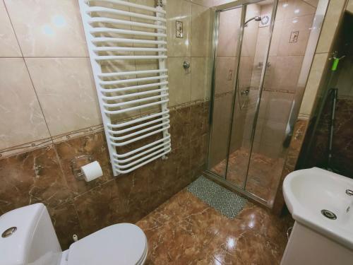a bathroom with a shower and a toilet and a sink at Na Wspólnej in Szlachtowa
