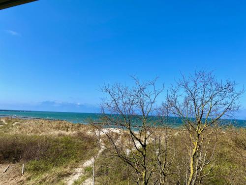 two trees on a beach with the ocean in the background at Apartamenty Solaris in Darłówko