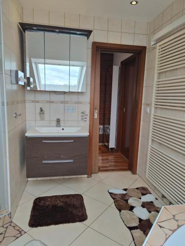 a bathroom with a sink and a mirror at Ferienwohnung Biene in Saarbrücken