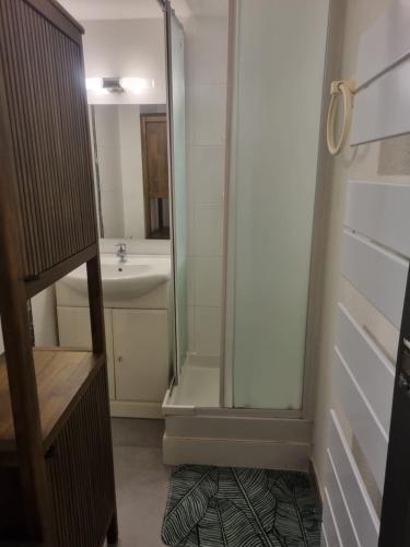 La petite salle de bains est pourvue d'une douche et d'un lavabo. dans l'établissement Duplex 44m² avec terrasse de 8m² accès direct mer/pisci/parking privatif surveillé, à Six-Fours-les-Plages