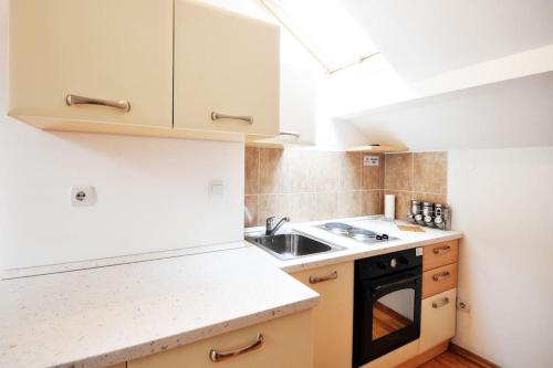 Una cocina o zona de cocina en Apartman Dačić