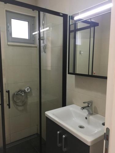 une salle de bain avec un lavabo et une douche avec un miroir dans l'établissement Acacia Hill olive tree apartment, à Herceg-Novi