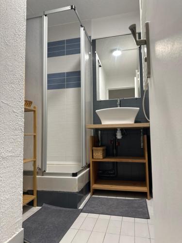 La salle de bains est pourvue d'un lavabo et d'une douche. dans l'établissement HELiOS, au Cap d'Agde