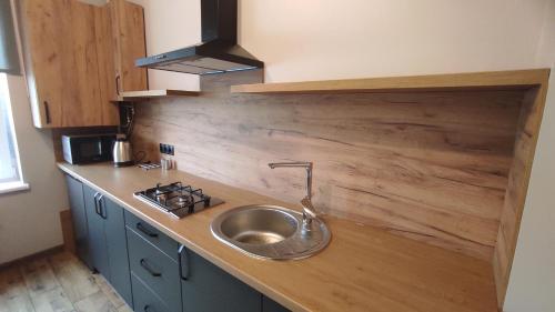 a kitchen counter with a sink and a stove at Нові Loft Апартаменти 5 (центр-залізничний вокзал) in Ivano-Frankivsʼk