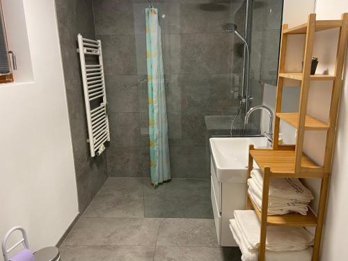 a bathroom with a shower and a sink at Haus Elke in Hard
