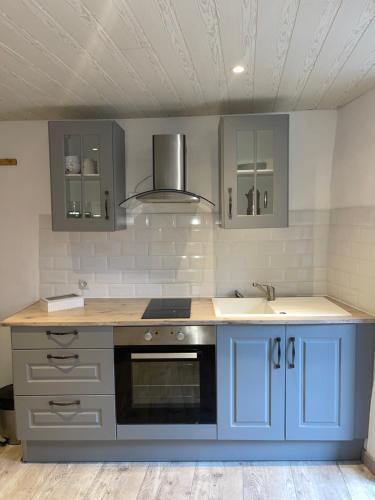 a kitchen with blue cabinets and a sink at Charmant 2 pièces aux portes du Mercantour in Saint-Martin-Vésubie