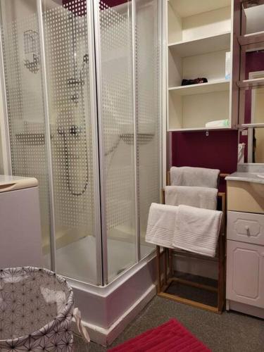 La salle de bains est pourvue d'une douche, d'une chaise et d'un lavabo. dans l'établissement domaine du nuton sauvage, à Charleville-Mézières