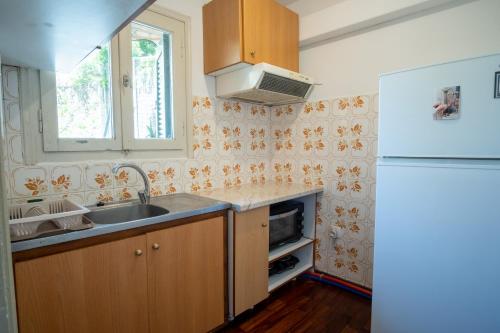 eine Küche mit einer Spüle und einem Kühlschrank in der Unterkunft James Room in Samos
