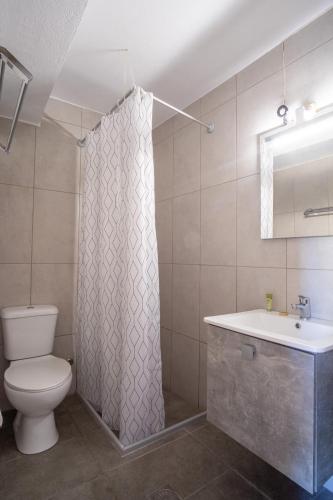 a bathroom with a toilet and a sink and a shower at James Room in Samos