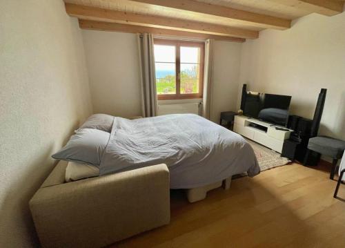 a bedroom with a bed and a couch and a window at Appartement Claude in Châtillon