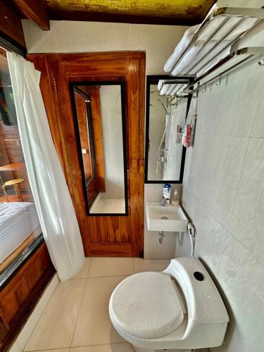a bathroom with a toilet and a sink at Glamping Omah Kayu at Watu Paris Jogja in Girijati