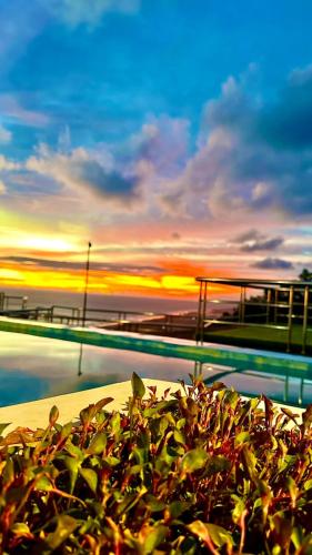 a plant next to a pool with a sunset in the background at Glamping Omah Kayu at Watu Paris Jogja in Girijati