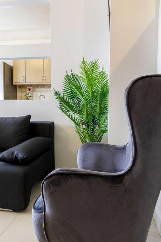 a black chair in a living room with a plant at Savvas Apartment in Tolo