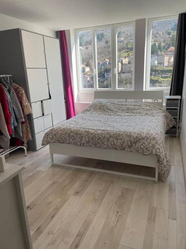 1 dormitorio con 1 cama y 2 ventanas en Loft moderne au cœur de l’Auvergne, en Thiers
