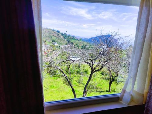 a window with a view of a field and trees at Salora Kodai in Kodaikānāl