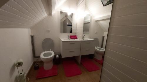 a small bathroom with a toilet and a sink at Gite St Pol de Léon 4 chambres, draps fournis in Saint-Pol-de-Léon
