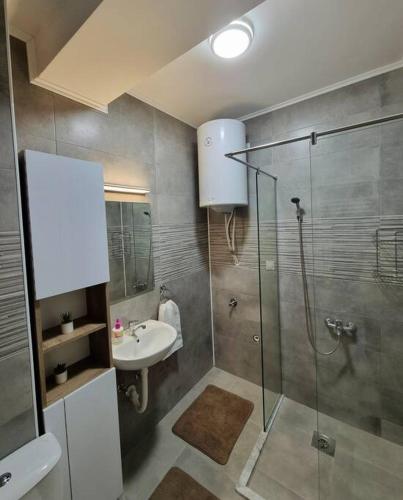 y baño con ducha y lavamanos. en Apartman Rojal Vranje en Vranje