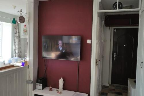 TV a/nebo společenská místnost v ubytování A-flat