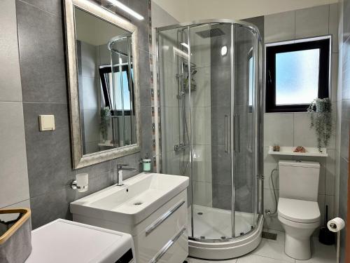 een badkamer met een douche, een wastafel en een toilet bij Point of View in Kotor