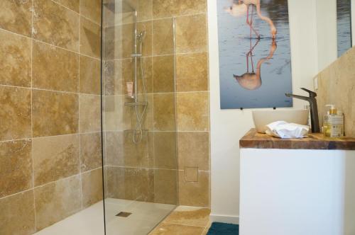 une douche avec une porte vitrée dans une salle de bain dans l'établissement La Suite du Mas Lauseta - clim et park, à Aigues-Mortes