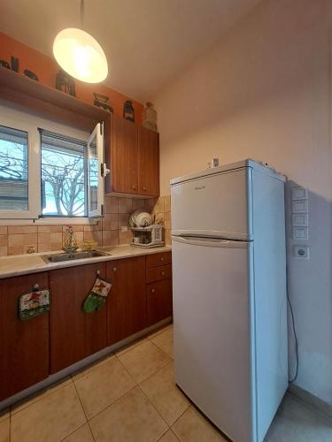a kitchen with a white refrigerator and a sink at Rivers' house Tzoumerka in Palaiokátounon