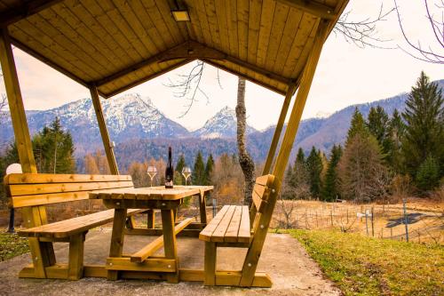 uma mesa de piquenique e banco num gazebo com uma montanha em Chalet Relax Tra Le Vigne em Forni di Sotto