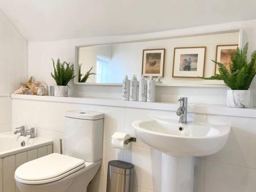 a bathroom with a toilet and a sink and a mirror at Boothorpe Farmhouse in Blackfordby