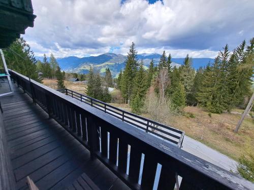 Gallery image of Blue Mountain Hotel in Afritz