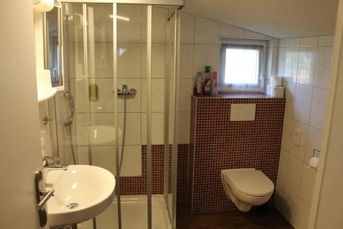 a bathroom with a shower and a toilet and a sink at Ferienhaus Franzl in Schwangau