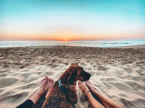 a person and a dog laying on the beach at Villa Intuitiva - Relaxation and Mindful Stay in Lourinhã