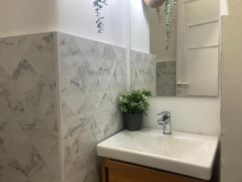 un bagno con lavandino, specchio e pianta di Happy Family Apartments Rovere a Genova