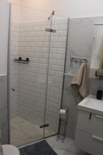 y baño con ducha y lavamanos. en Larix apartman, en Budapest