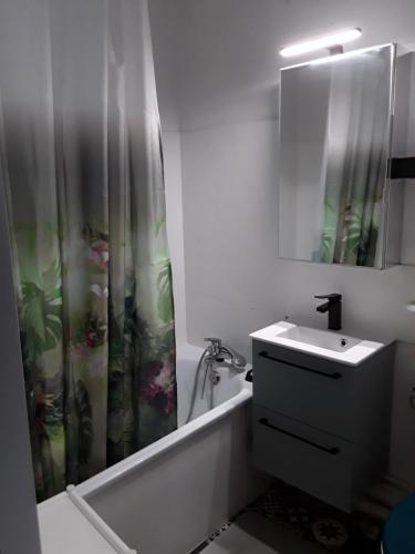 La salle de bains est pourvue d'un lavabo et d'un rideau de douche. dans l'établissement Pour cure et ski, à Luchon