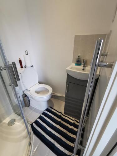 a bathroom with a toilet and a sink at Studio self contained double bedroom in London