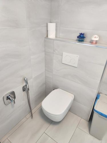 a white bathroom with a toilet and a sink at Vila Rajska ptica in Bled