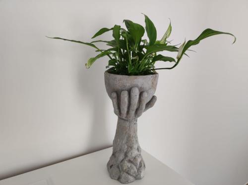 a plant in a stone vase sitting on a shelf at Abate Filippo apartment in Nardò